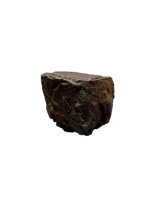 Triceratops Fossiel Tand Fragment uit Hell Creek Formatie | 0,47 inch