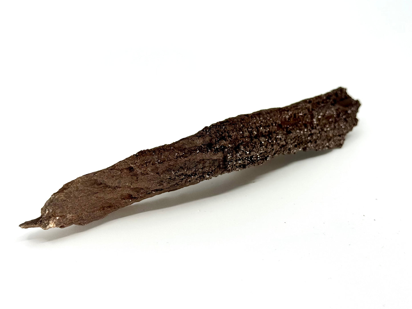 Permineralized Wood Covered In Druzy Quartz from Germany (210 Grams)
