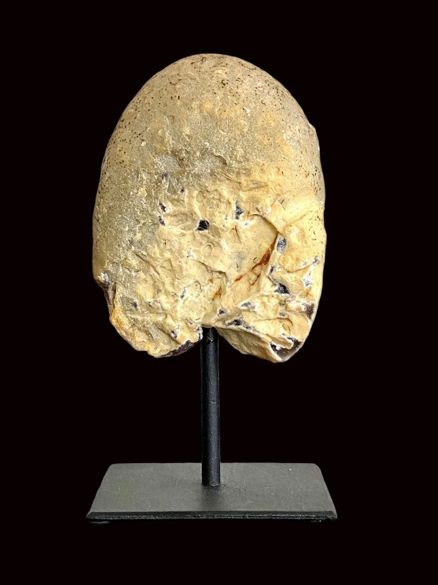 5.90" Agate Geode end on stand, mineral - FossilsAndMore