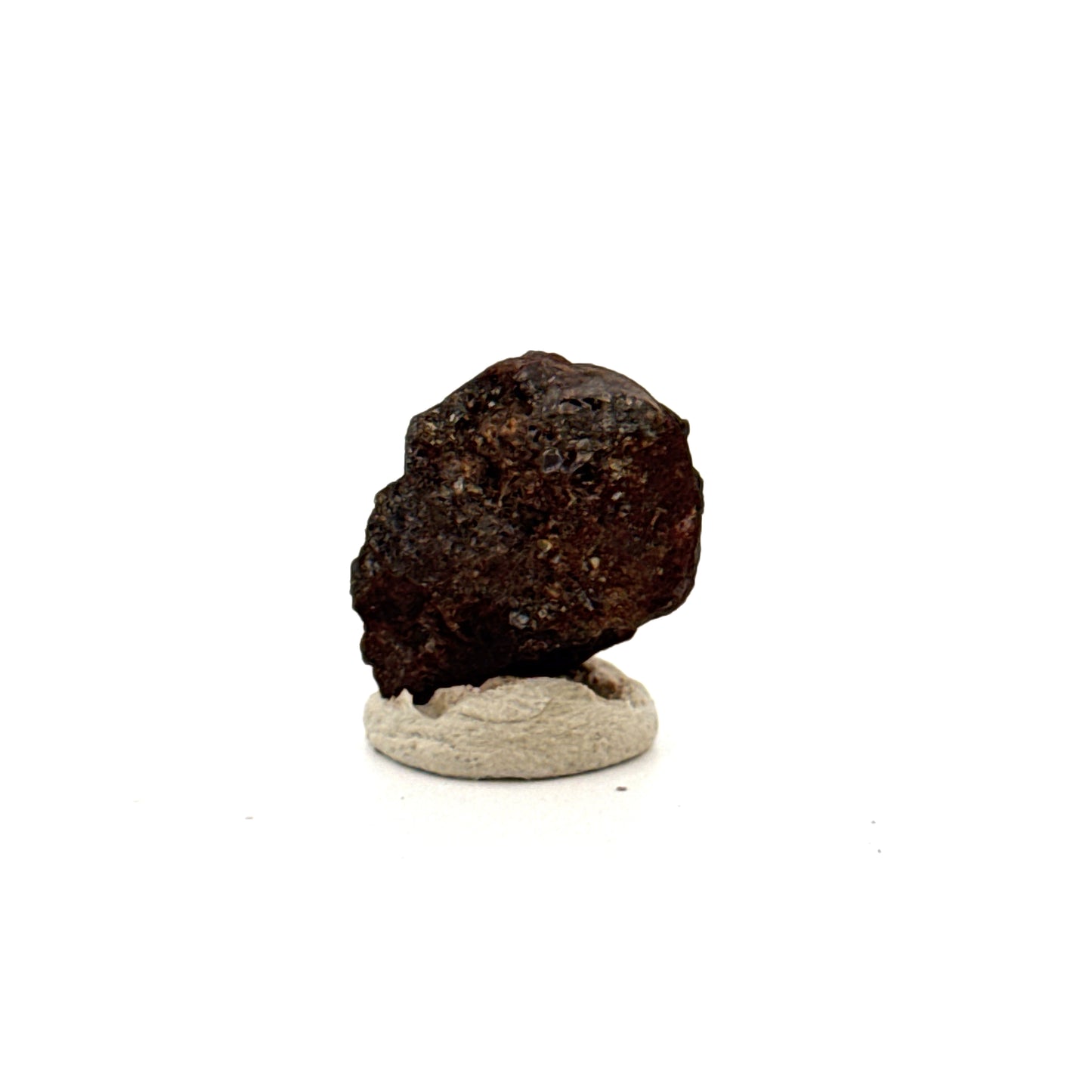 Authentiek ruw Sericho Pallasiet meteorietfragment uit Kenia (0,80 inch)
