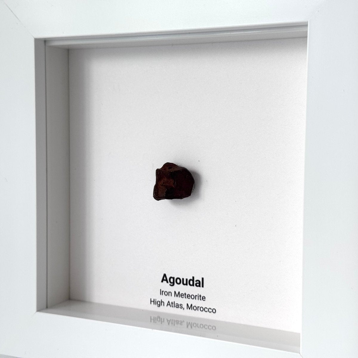 Agoudal Meteorite Fragment in Deep Box Frame - FossilsAndMore