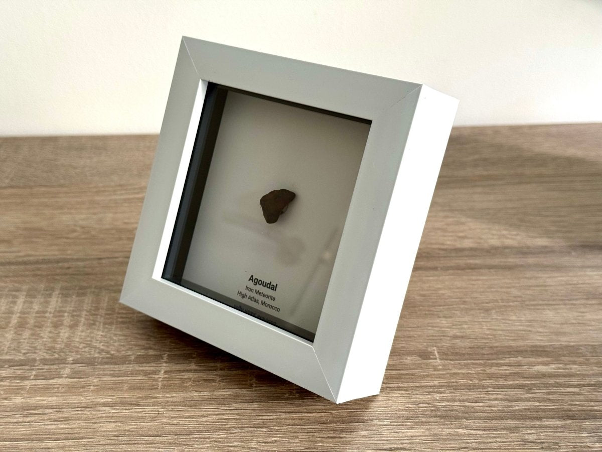 Agoudal Meteorite Fragment in Deep Box Frame - FossilsAndMore