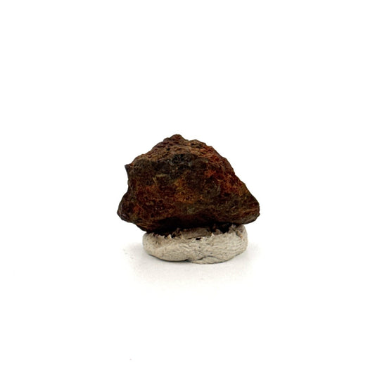 Authentic raw Sericho Pallasite Meteorite Fragment from Kenya (0.75") - FossilsAndMore