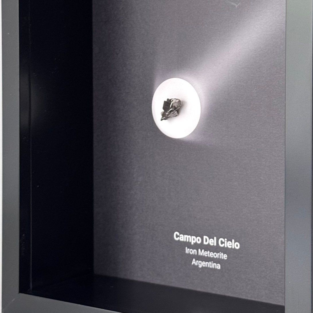 Campo del Cielo Meteorite Fragment in Large Deep Box Frame - FossilsAndMore