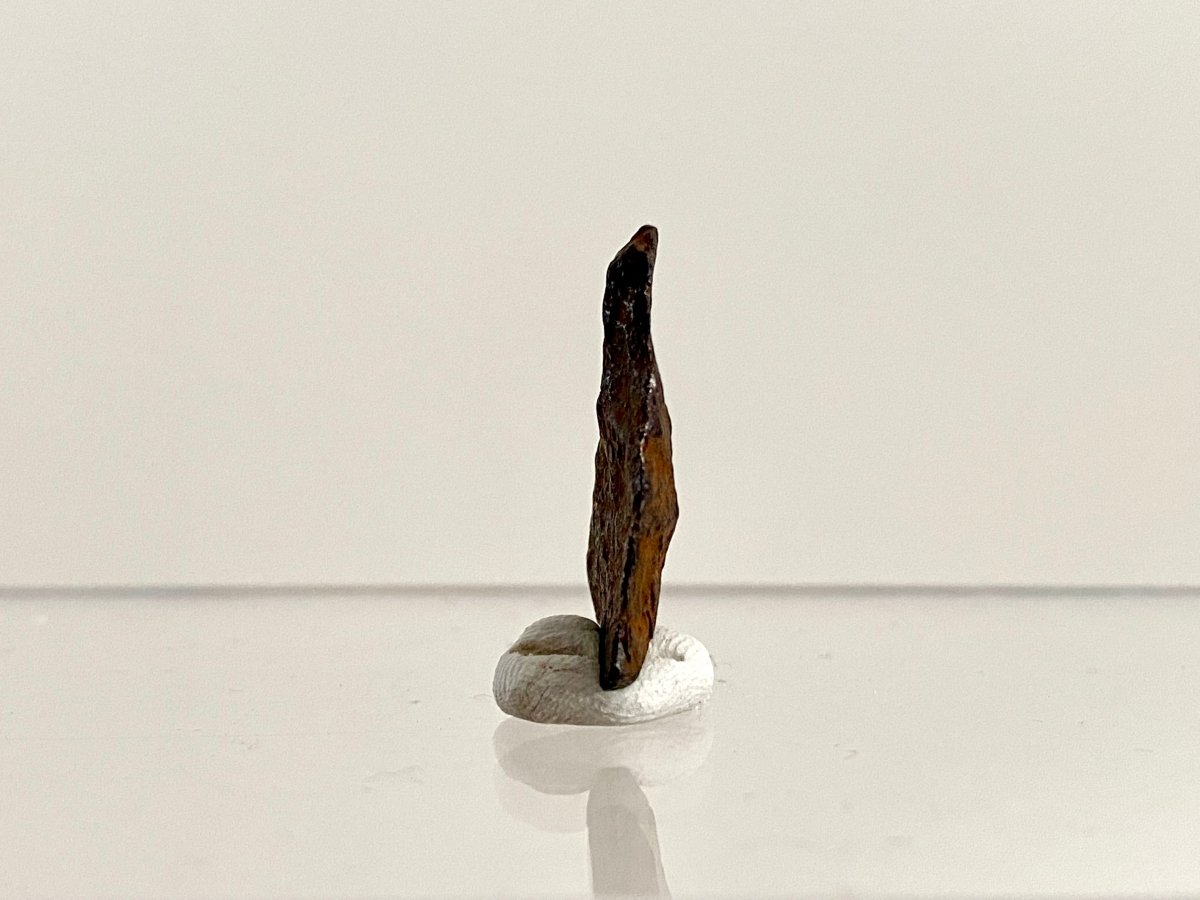 Canyon Diablo Meteorite fragment (0.84"), 2 grams - FossilsAndMore