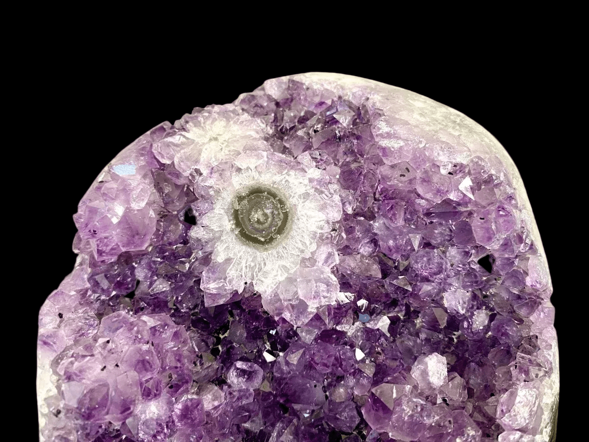 Cut-base Amethyst cluster from Uruguay | 1487 grams - FossilsAndMore