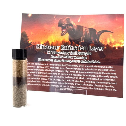 Dinosaur Extinction Layer – K-T Boundary Soil Specimen from Slope County, USA - FossilsAndMore