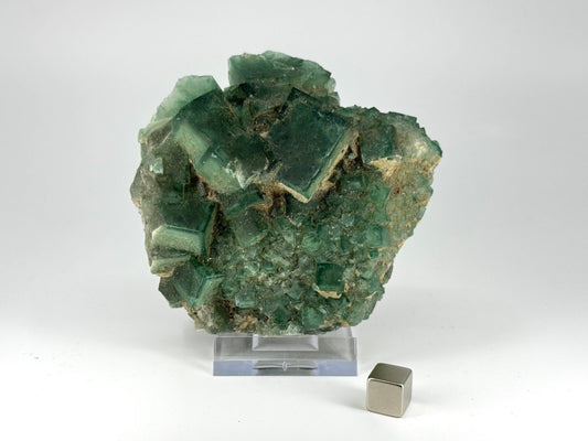 Fluorite Crystal Cluster from Madagascar - 340 Grams - FossilsAndMore
