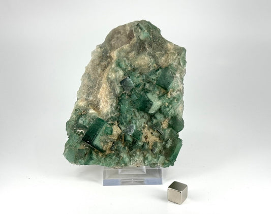 Fluorite Crystal Cluster from Madagascar - 439 Grams - FossilsAndMore