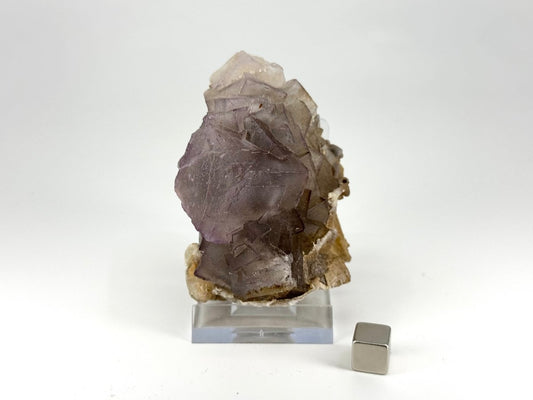 Fluorite Crystal Cluster from Pakistan - 220 Grams - FossilsAndMore