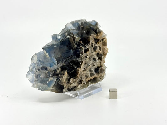 Fluorite Crystal Cluster from Pakistan - 553 Grams - FossilsAndMore