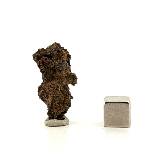 Fulgurite a Natural Glass Formed by Lightning | 1.18" - FossilsAndMore