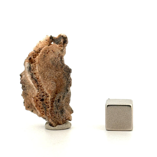 Fulgurite a Natural Glass Formed by Lightning | 1.36" - FossilsAndMore