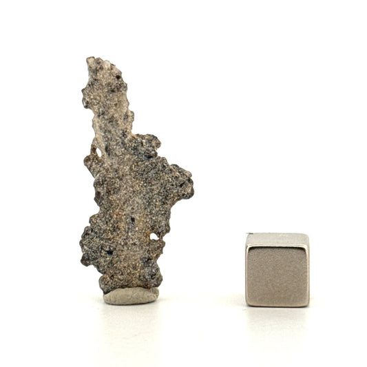 Fulgurite a Natural Glass Formed by Lightning | 1.46" - FossilsAndMore