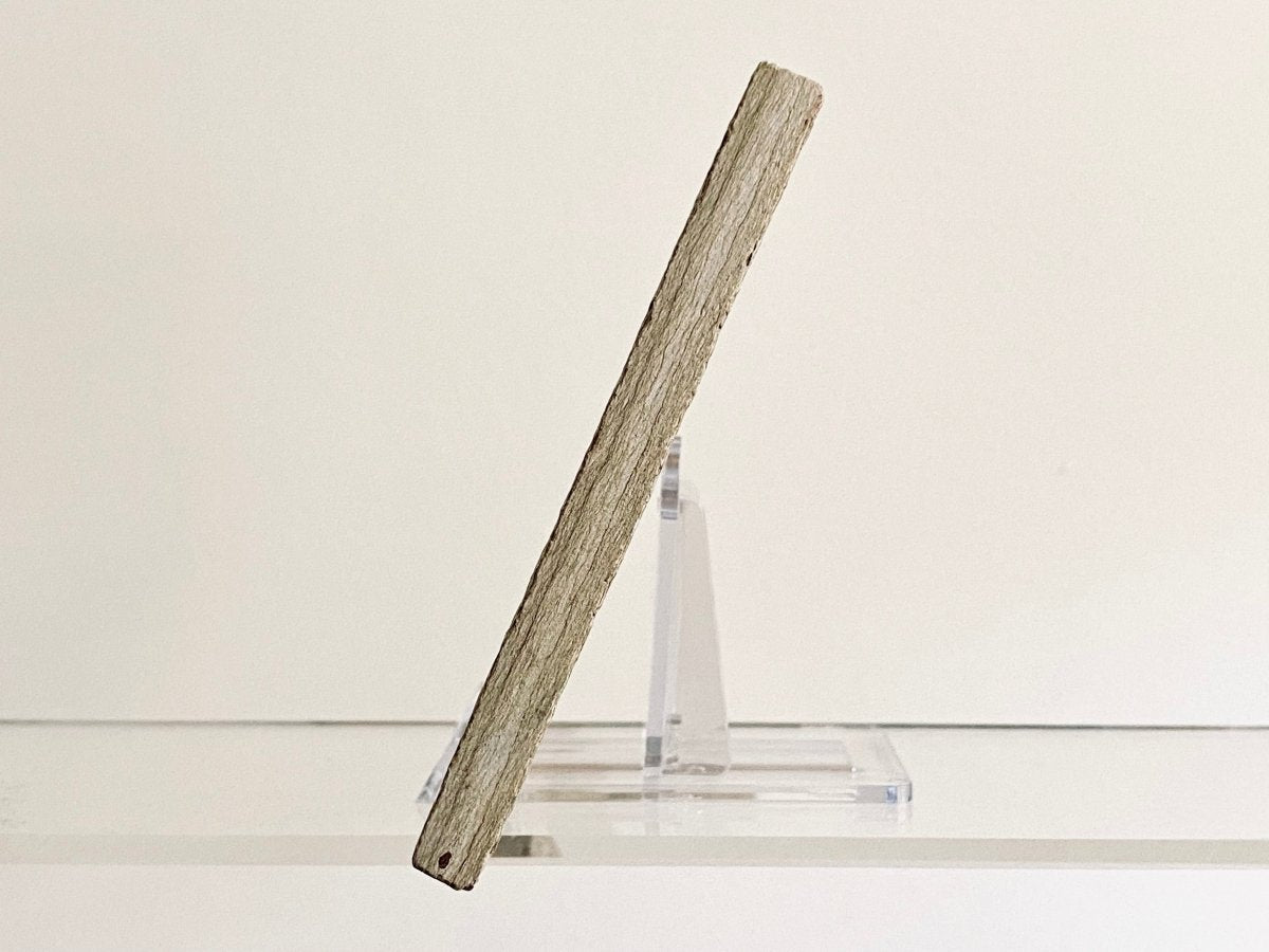 Knightia Eoceana Fossil fish, Eocene fossil from Green River Formation, Wyoming (4.45") - FossilsAndMore