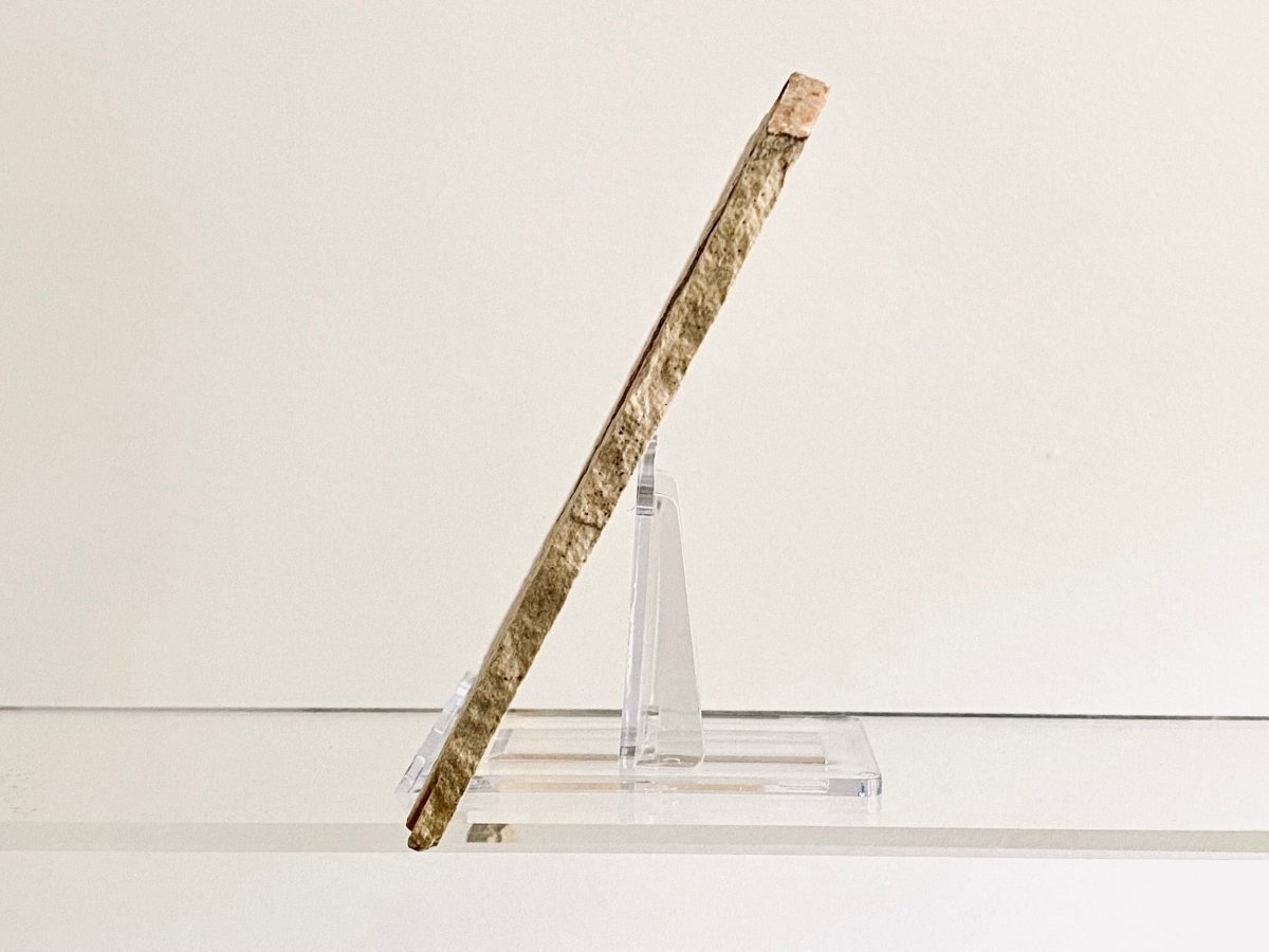 Knightia Eoceana Fossil fish, Eocene fossil from Green River Formation, Wyoming (4.93") - FossilsAndMore