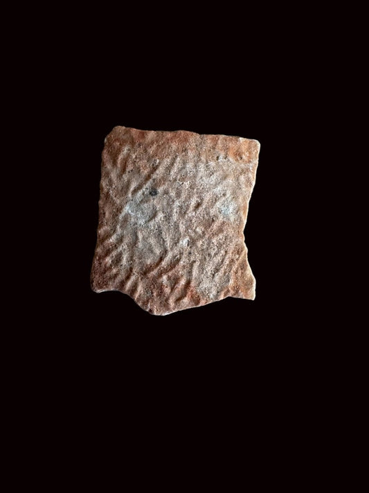 Oviraptor Species Eggshell fragment (0.87"), Dinosaur fossil from China - FossilsAndMore