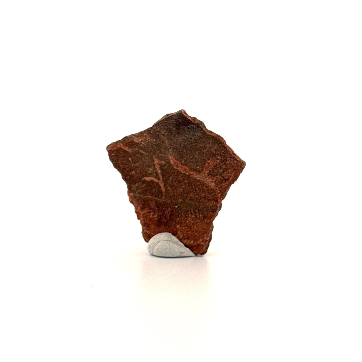 Oviraptor Species Eggshell fragment (1.04"), Dinosaur fossil from China - FossilsAndMore