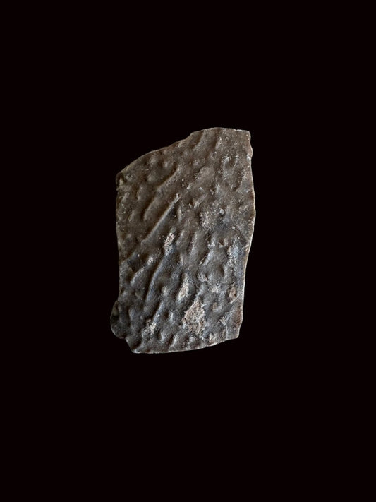 Oviraptor Species Eggshell fragment (1.07"), Dinosaur fossil from China - FossilsAndMore
