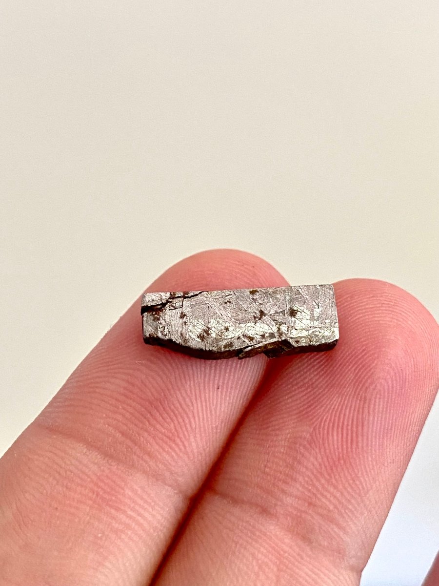 Polished Muonionalusta IVA meteorite fragment (0.75") - Sweden - FossilsAndMore