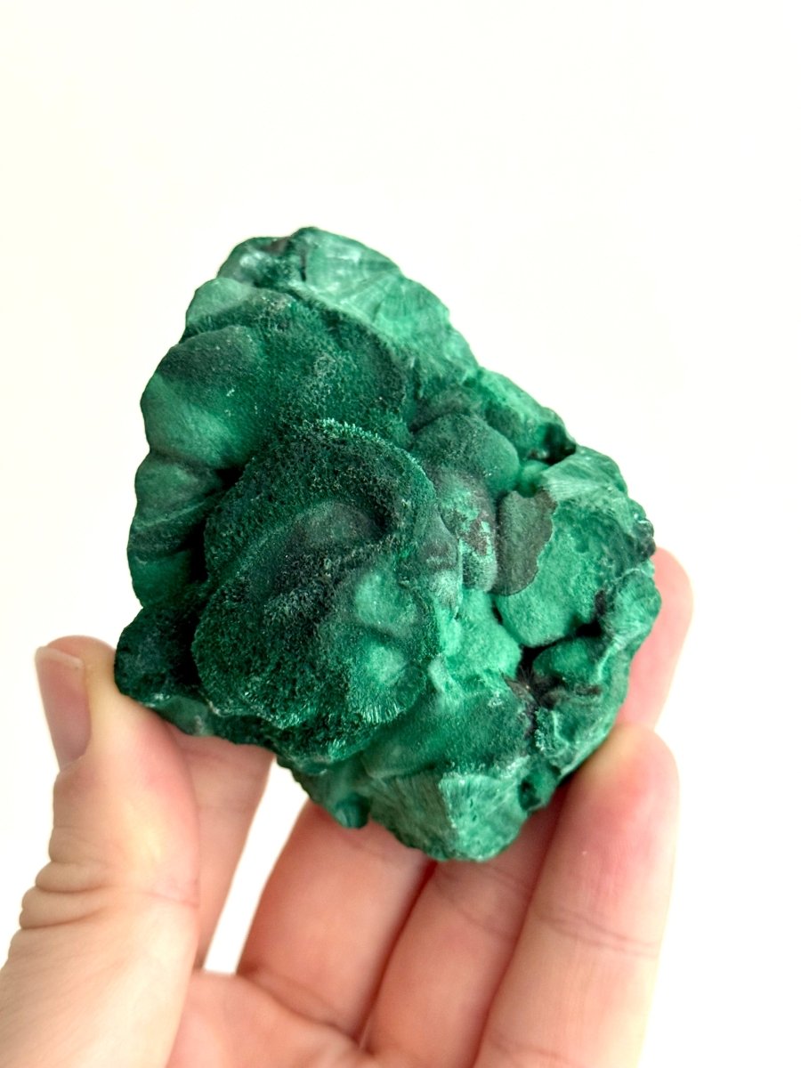 Raw Malachite Mineral (280 Grams) – Natural Copper Carbonate - FossilsAndMore