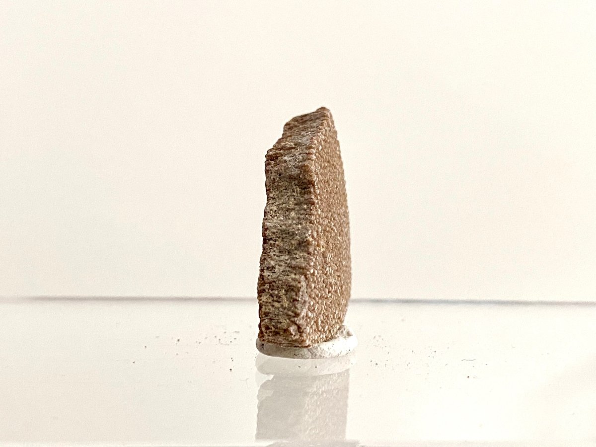 Saltasaurus Dinosaur Eggshell Fossil (1.32") - Cretaceous, Argentina - FossilsAndMore