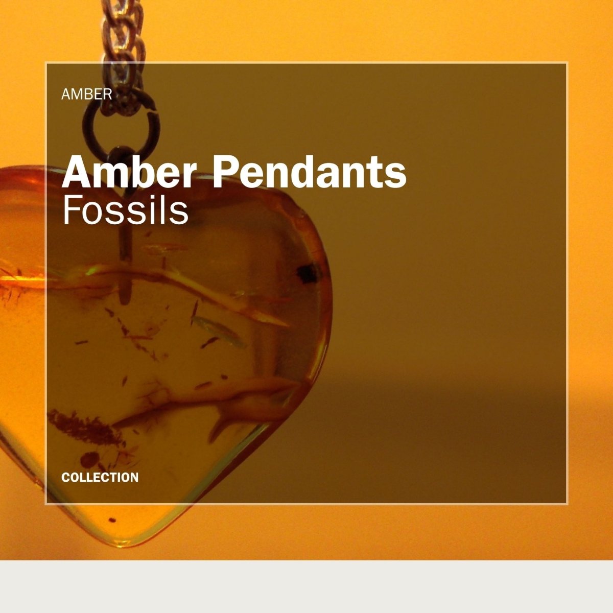 amber jewelry with fossil insect inclusion from Myanmar and Baltic Sea.