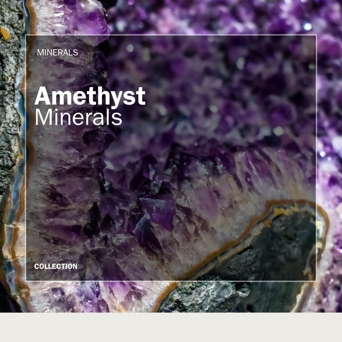 Amethyst Crystals and Geode Specimens - FossilsAndMore