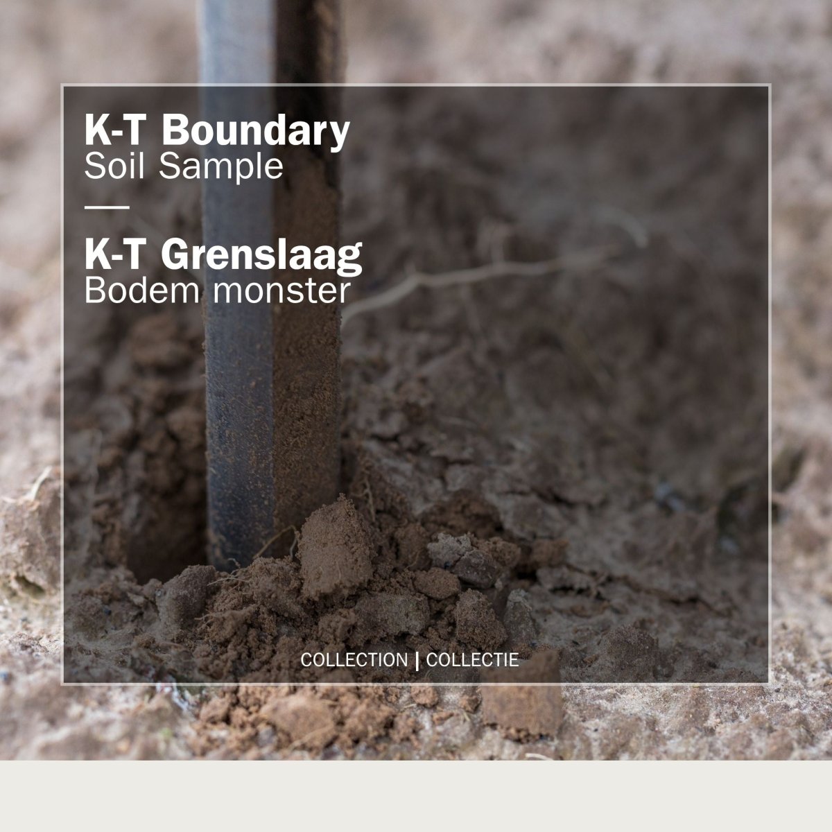K-T Boundary Soil Sample - FossilsAndMore