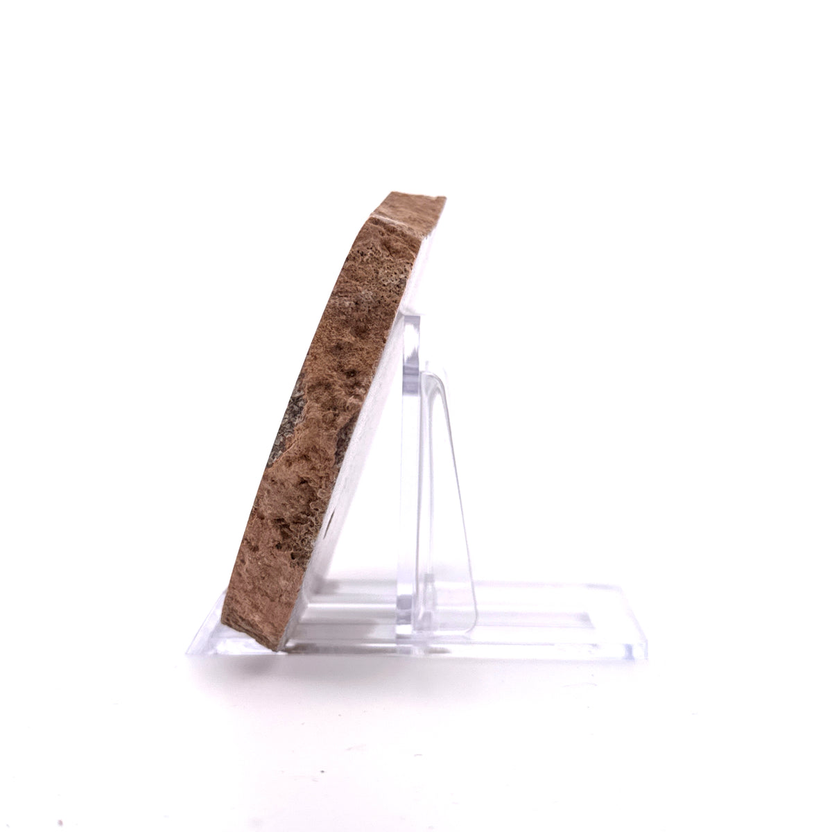 Polished Jurassic Sauropod Dinosaur Bone | 139 Grams
