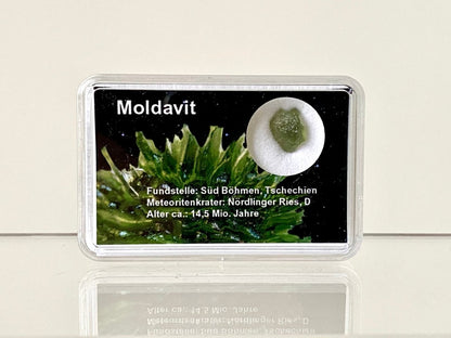 0.37" Moldavite (tektite) formed by a meteorite impact - FossilsAndMore