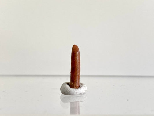 0.62" Rebbacchisaurus sauropod dinosaur tooth - FossilsAndMore