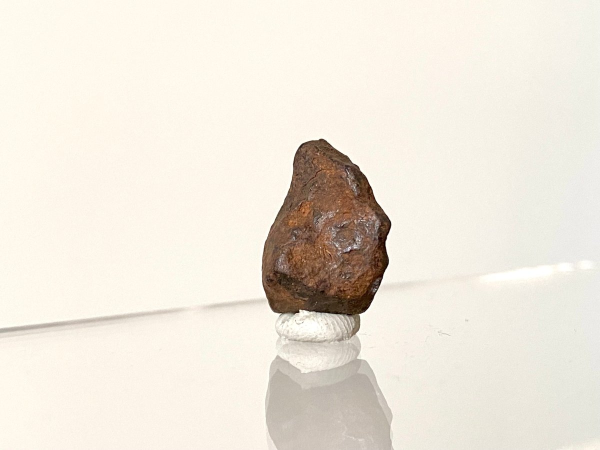 0.74" Canyon Diablo Meteorite fragment (7 Grams) - FossilsAndMore