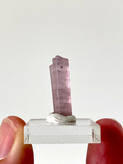 0.93" Natural Raw Tourmaline mineral (small) - FossilsAndMore