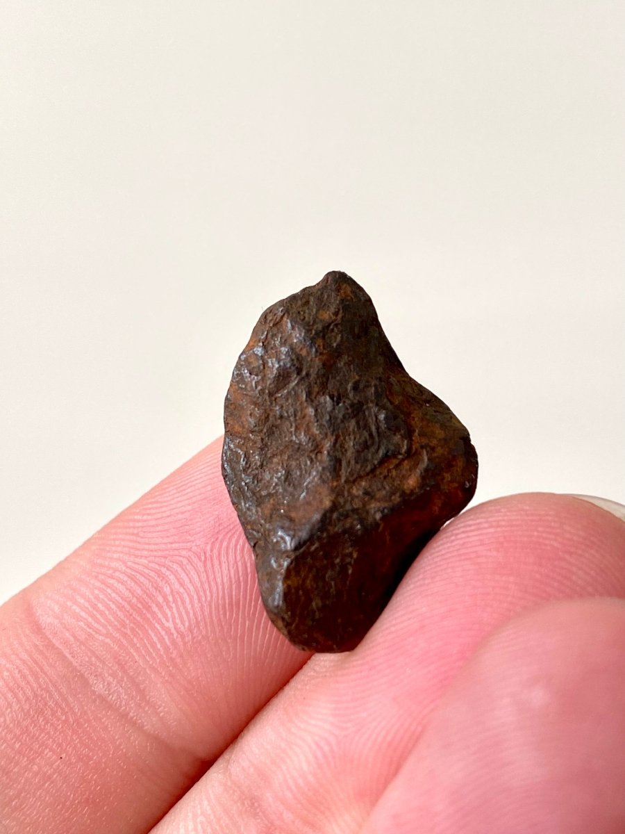 0.94" Canyon Diablo Meteorite fragment (6 Grams) - FossilsAndMore