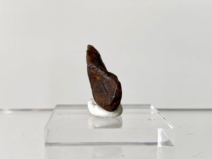 0.94" Canyon Diablo Meteorite fragment (6 Grams) - FossilsAndMore