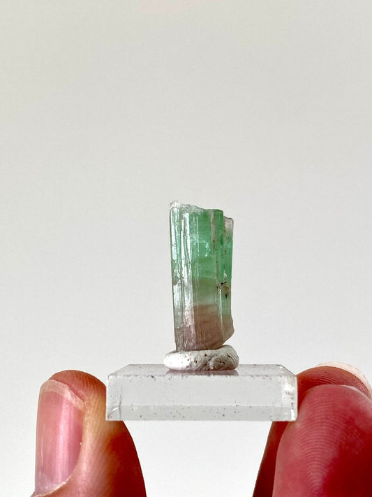 0.96" Natural Raw Tourmaline mineral (small) - FossilsAndMore