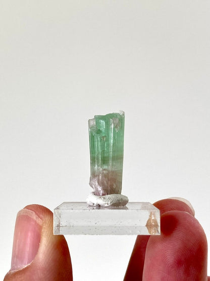 0.96" Natural Raw Tourmaline mineral (small) - FossilsAndMore