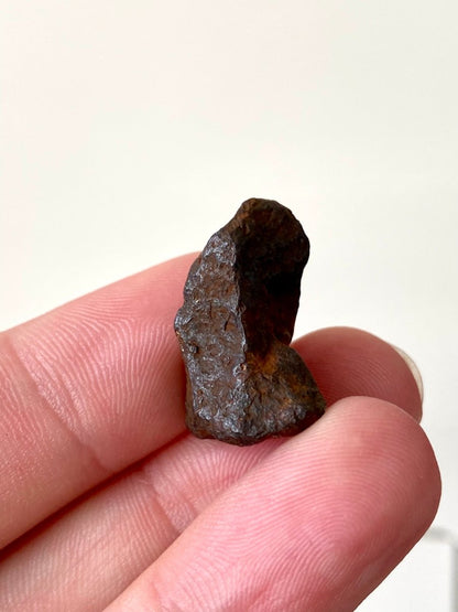 0.98" Canyon Diablo Meteorite fragment (8 Grams) - FossilsAndMore