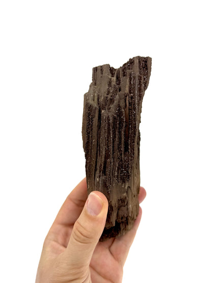 Large Permineralized Wood Covered In Druzy Quartz from Germany (669 Grams)