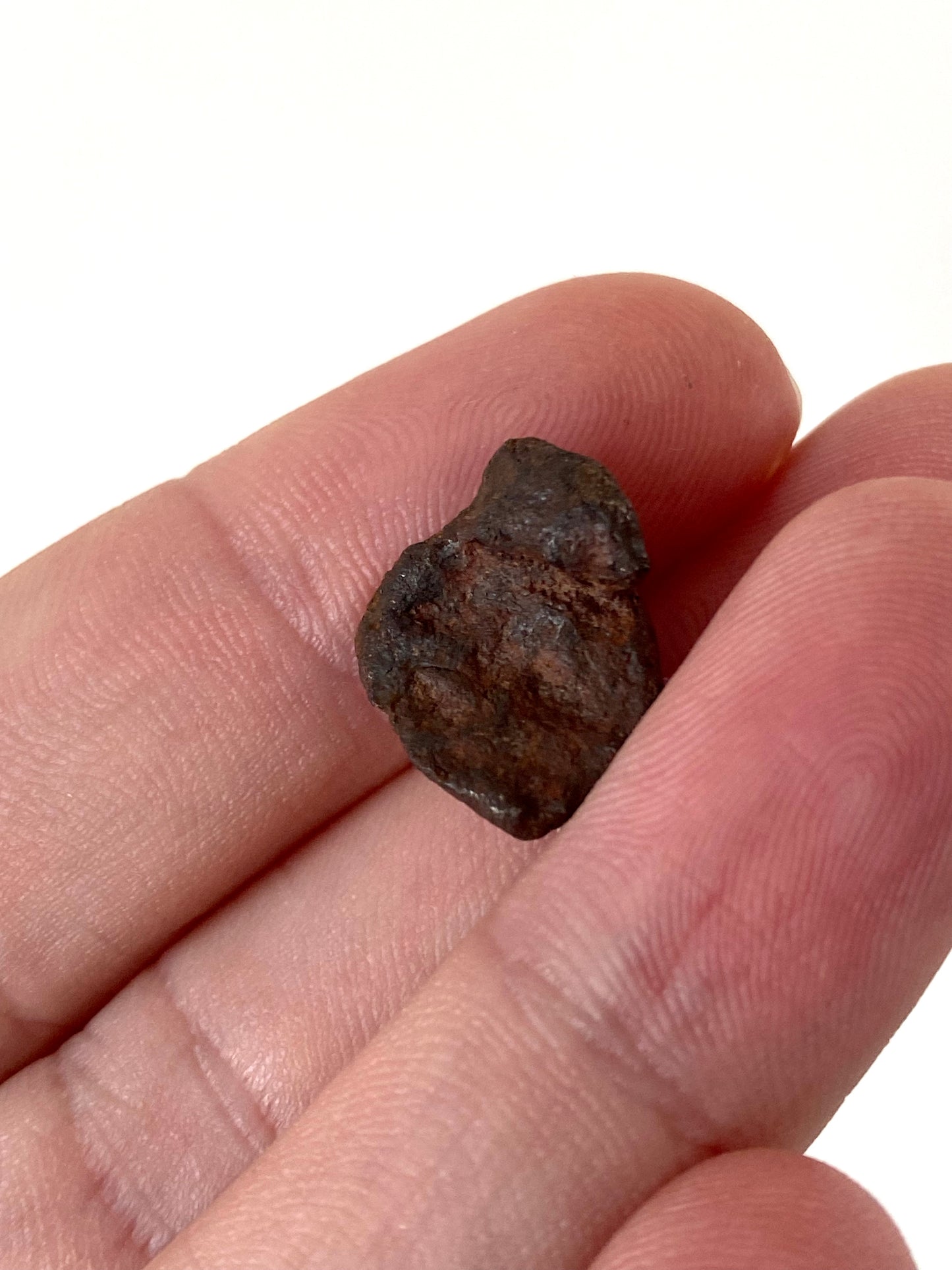 Agoudal Meteorite fragment