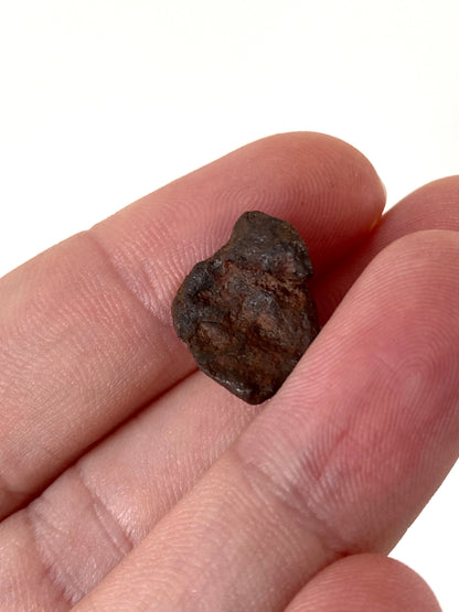 Agoudal Meteorite fragment