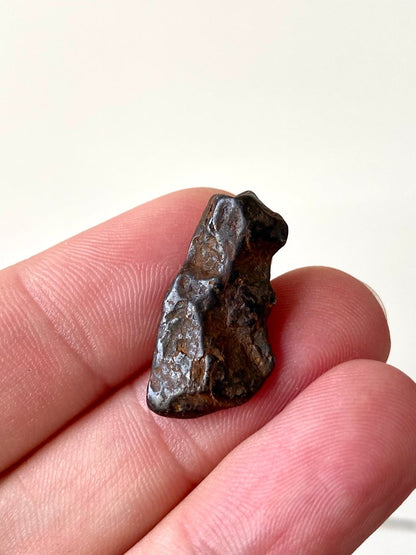 1.03" Canyon Diablo Meteorite fragment (4 Grams) - FossilsAndMore