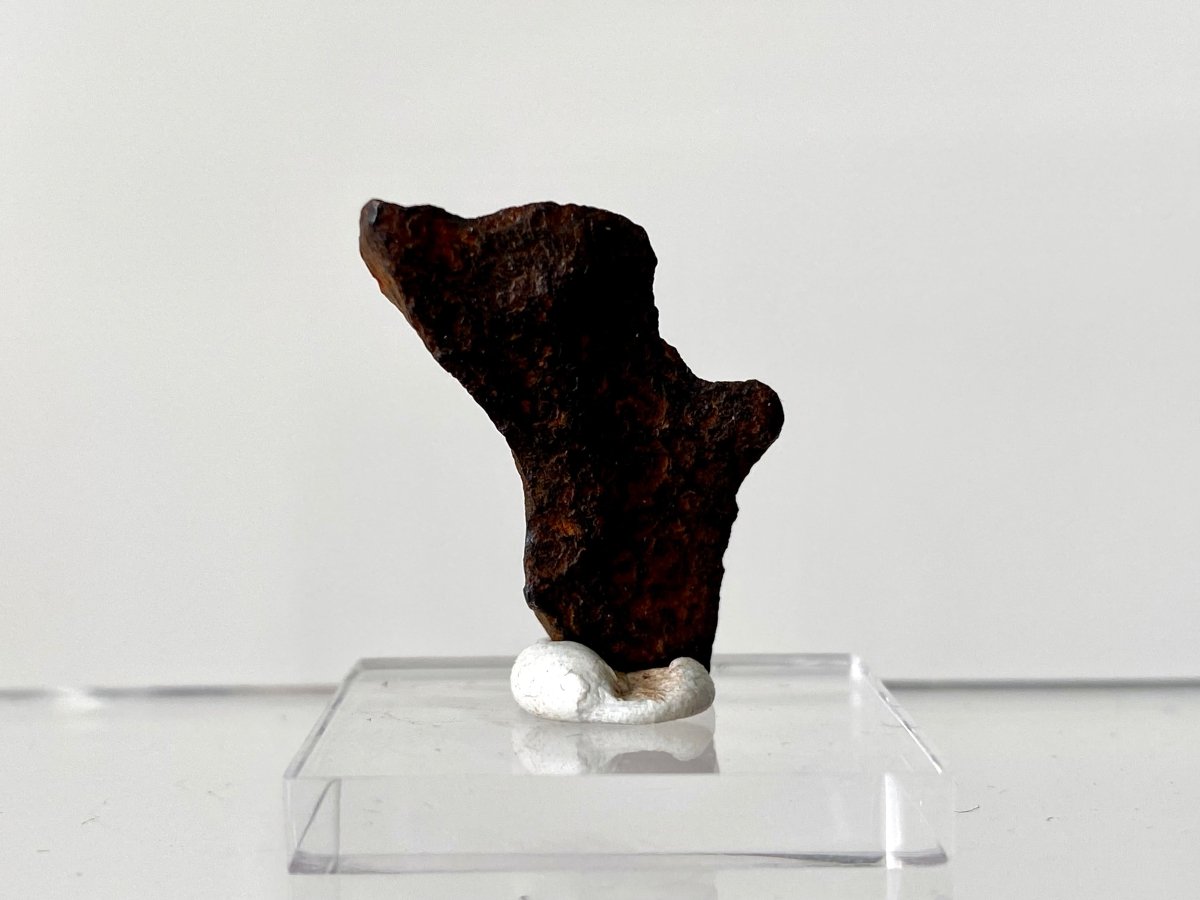 1.26" Canyon Diablo Meteorite fragment (5 Grams) - FossilsAndMore