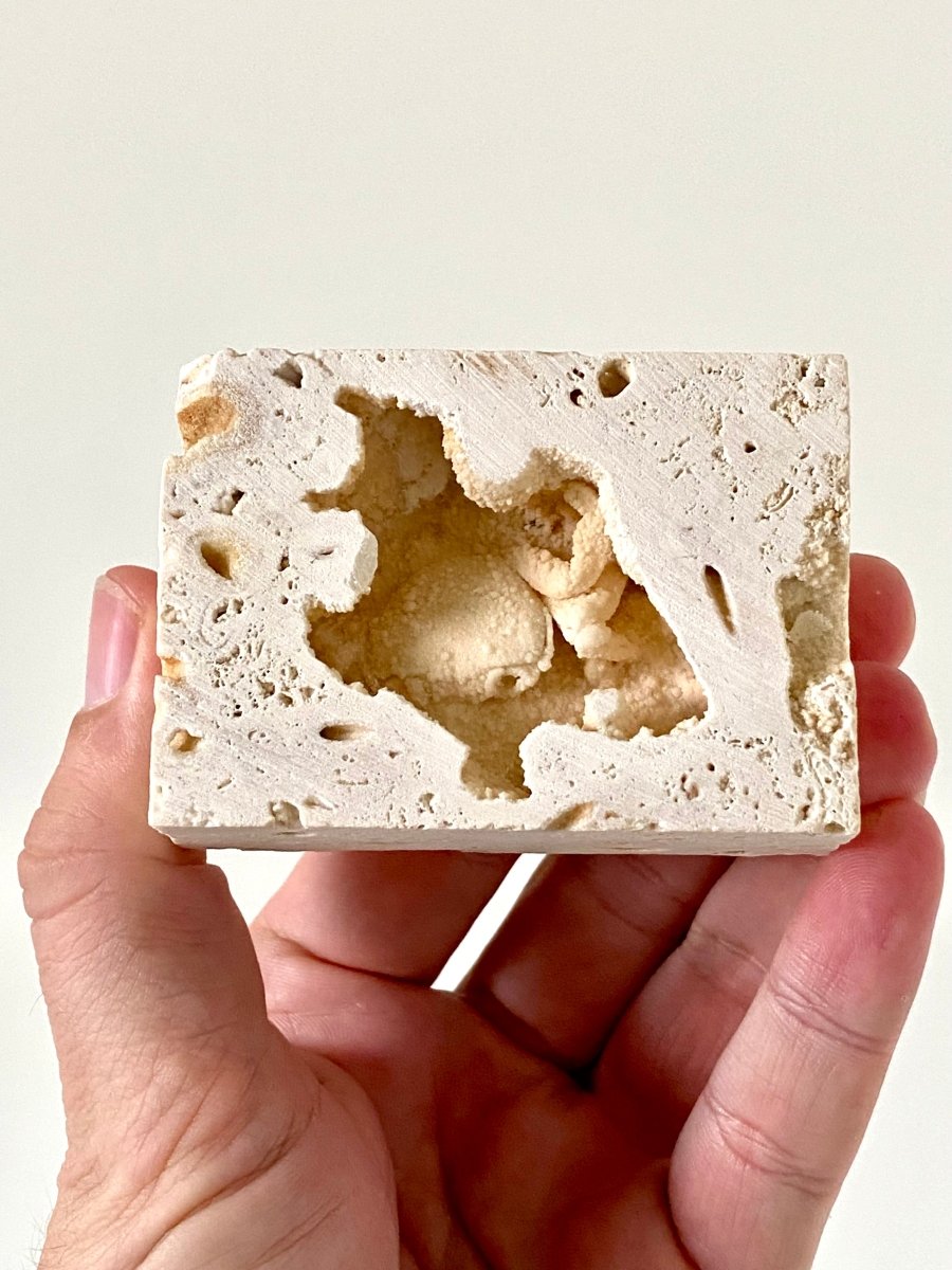 1.40" Potamon crab fossil species in travertine - FossilsAndMore