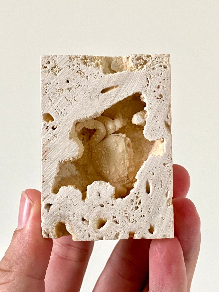 1.40" Potamon crab fossil species in travertine - FossilsAndMore