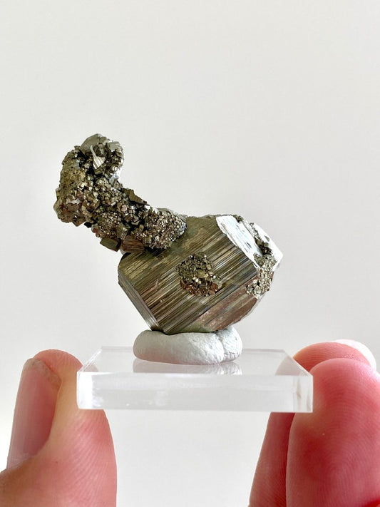 1.40" Pyrite from Peru, fool’s gold, mineral - FossilsAndMore