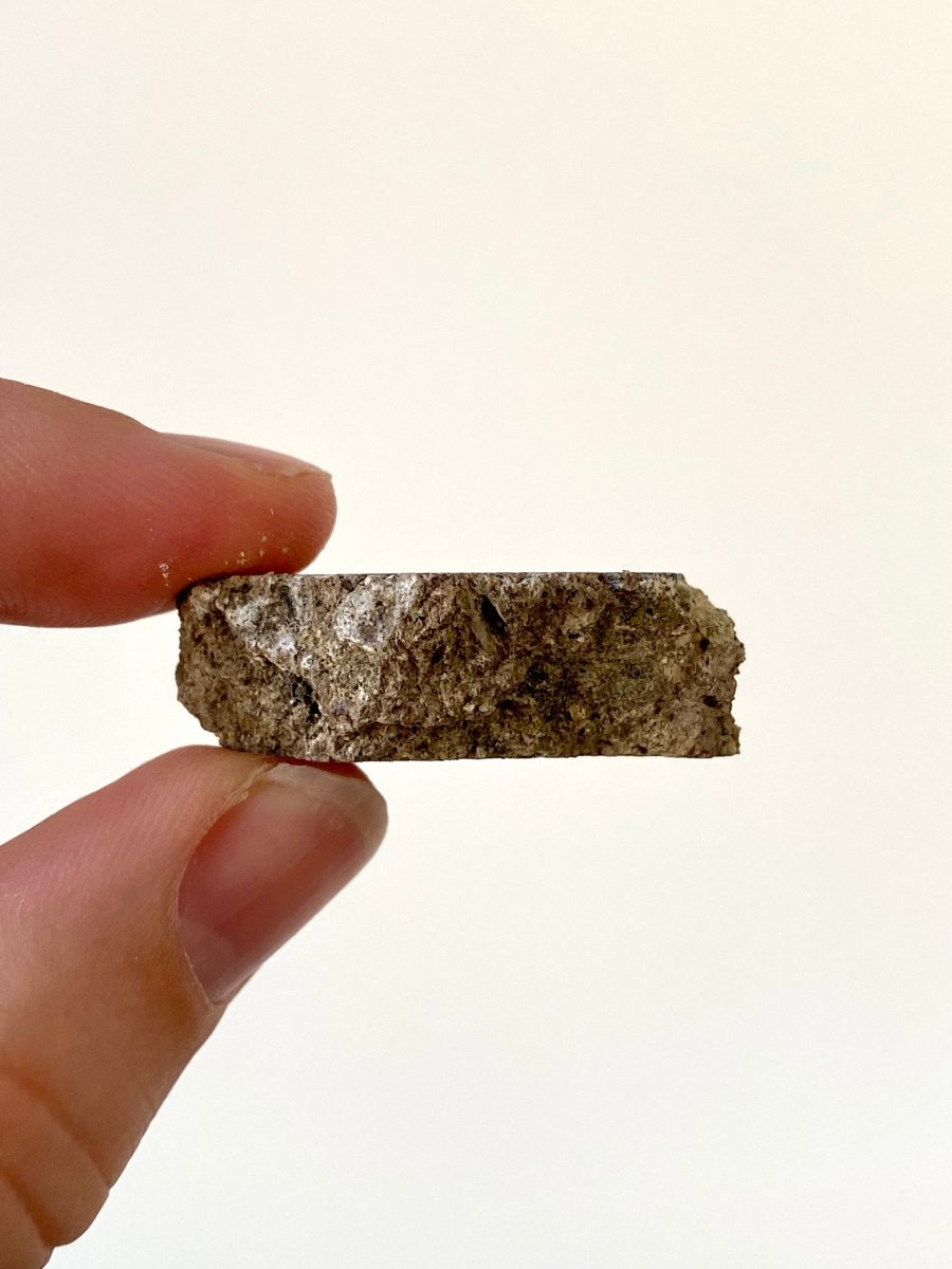 1.45" Suevite Impactite fragment - FossilsAndMore