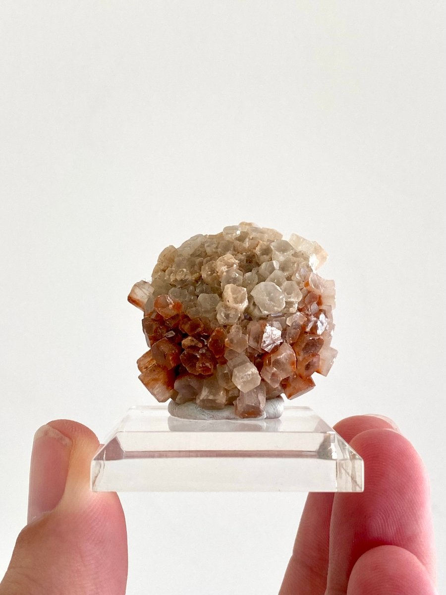 1.47" Aragonite mineral cluster from Morocco - FossilsAndMore