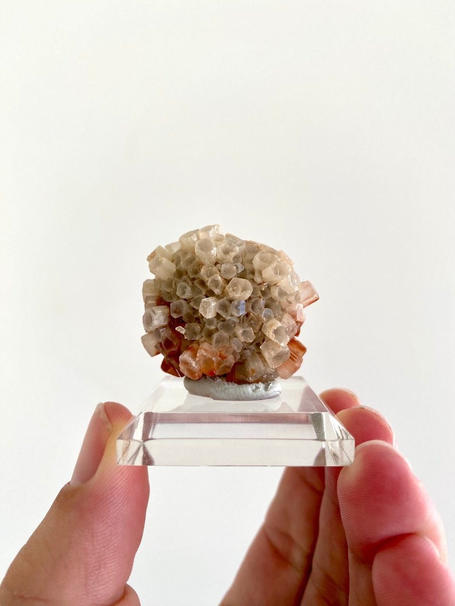 1.47" Aragonite mineral cluster from Morocco - FossilsAndMore